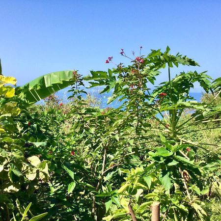 Chez Jocelyne Pres Des Sources Chaudes Villa Bouillante Ngoại thất bức ảnh